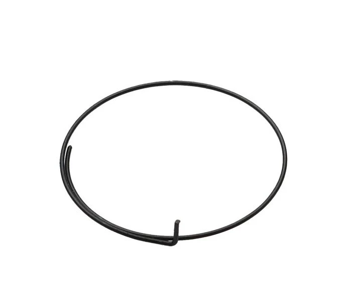 Campagnolo® Molla Per Cricchetto 5pz 1 Campagnolo® Molla Per Cricchetto 5pz