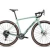 Specialized Diverge Sport Carbon Disc Salvia
