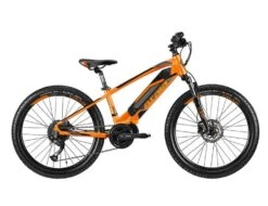 ATALA Crab 24'' Disc 9v Arancione 34