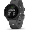 Garmin Forerunner 245 Nero Cinturino Grigio