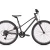Specialized Jett 24'' Bambino Grigio