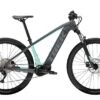 Trek Powerfly 4 625W Grigio/verde Miami
