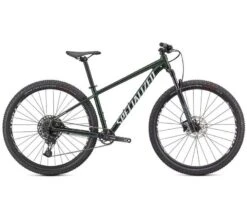 Specialized Rockhopper Expert 29'' Verde/bianco