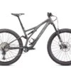 Specialized Stumpjumper Comp Carbon 29'' Grigio