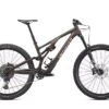 Specialized Stumpjumper Evo Comp 29'' Marrone/sabbia