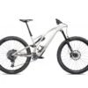 Specialized Stumpjumper Evo Expert 29'' Bianco Betulla