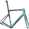 Specialized Telaio Tarmac S-works Sl6 Disc Sagan Collection