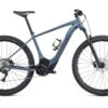 Specialized Turbo Levo Ht Comp 29'' Grigio